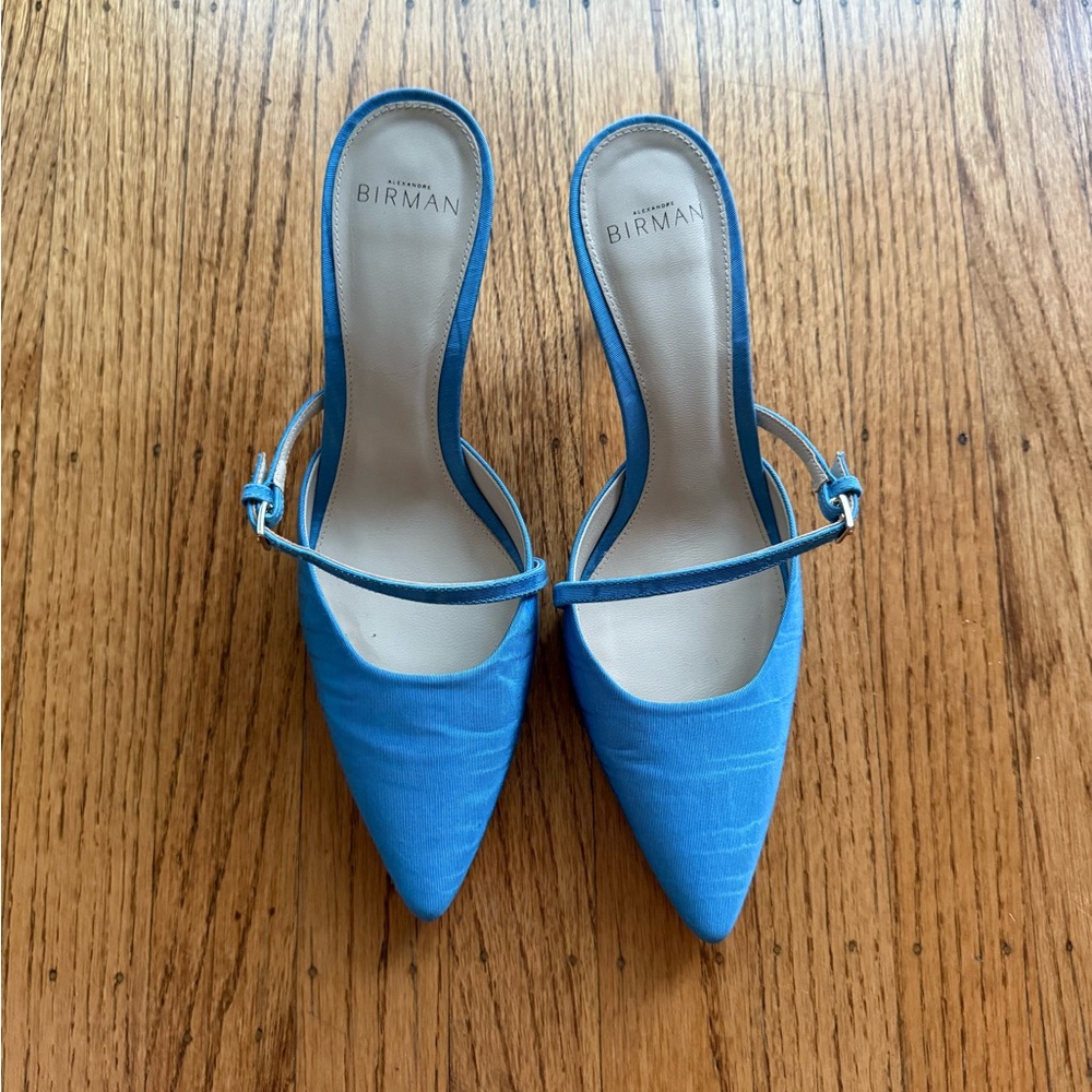 Alexandre Birman Blue Pointed Toe Heels